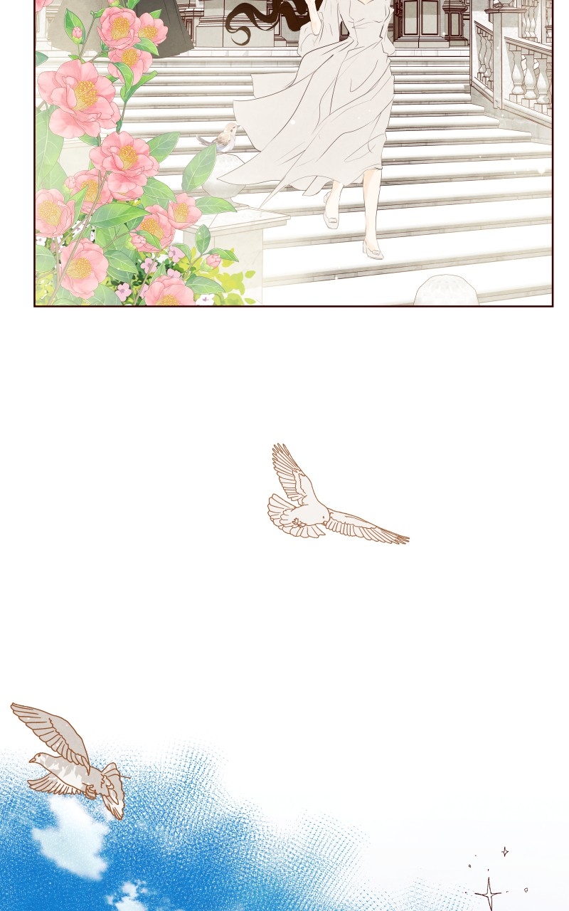 Page (41)